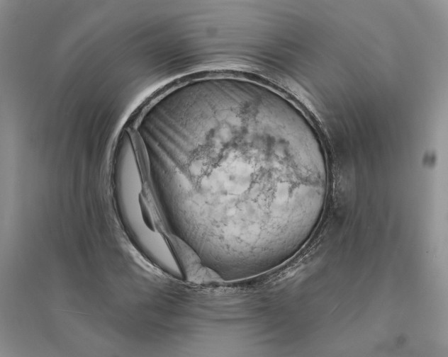 X0000094451116200711291653