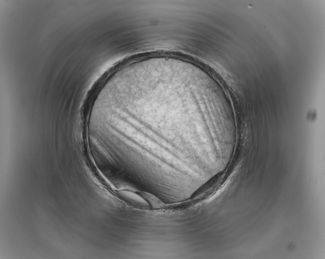 X0000094451118200711291653