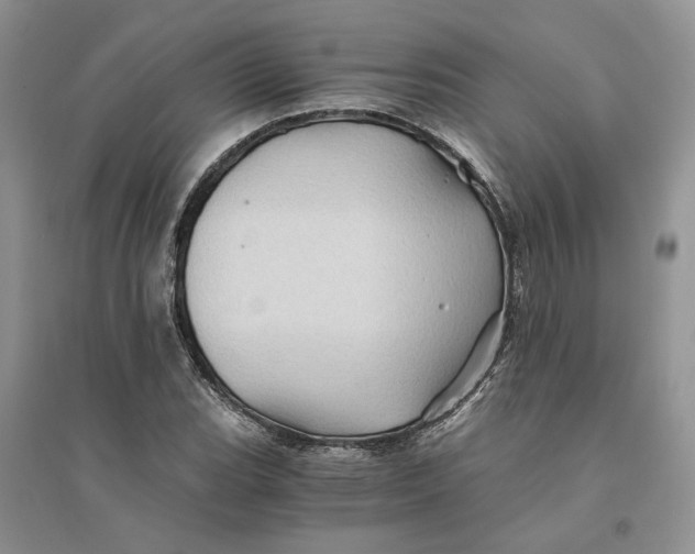 X0000094451119200711291653