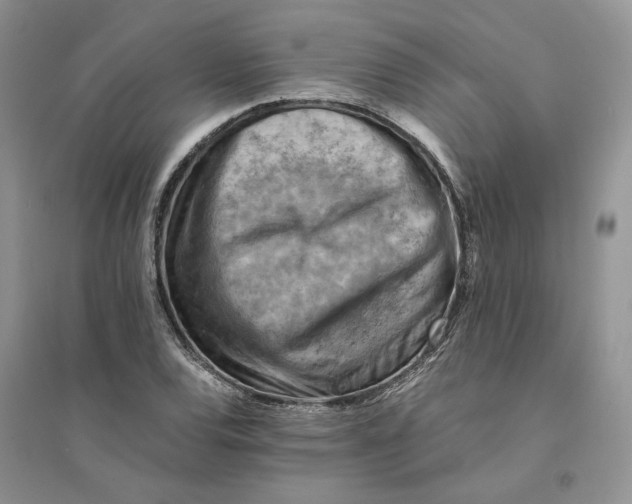 X0000094451120200711291653