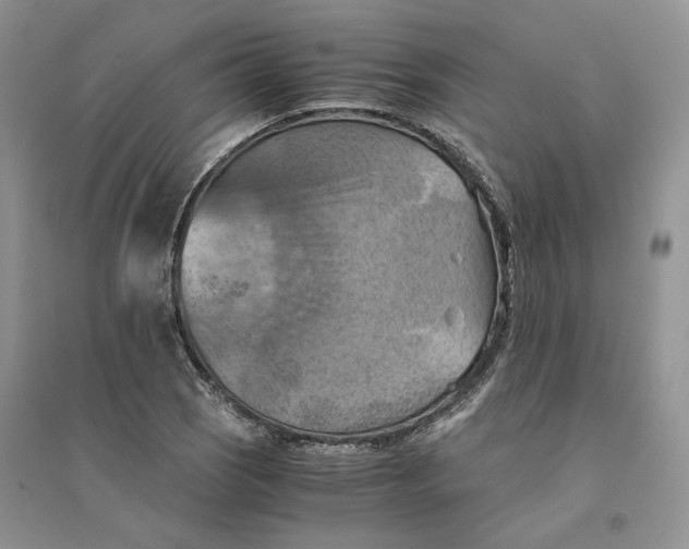 X0000094451121200711291653