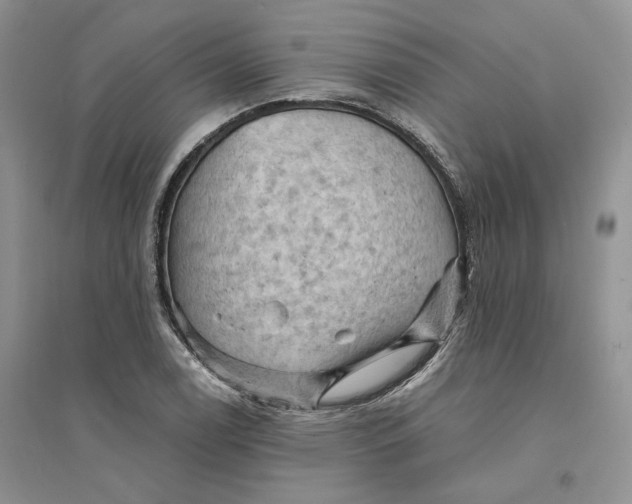 X0000094451122200711291653