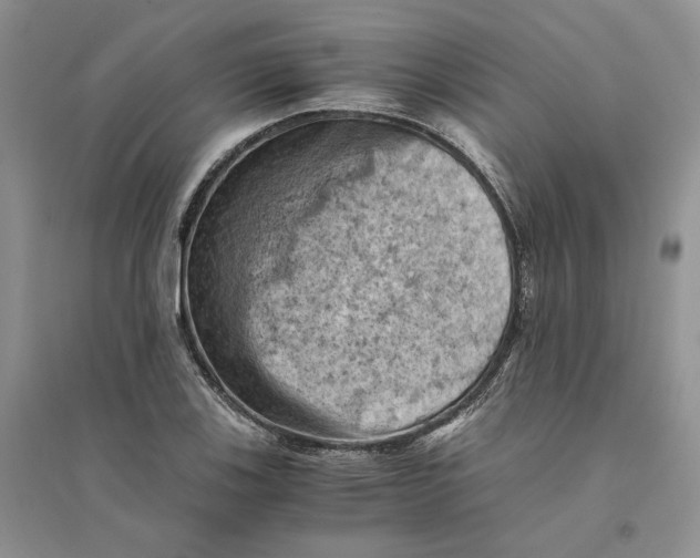 X0000094451123200711291653