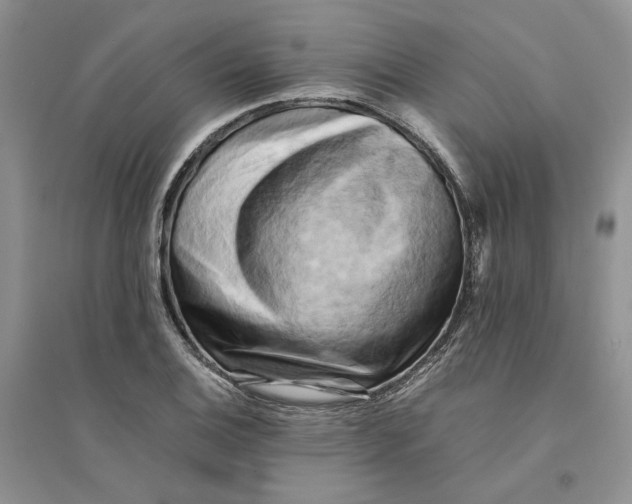 X0000094451124200711291653