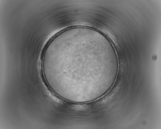 X0000094451125200711291653