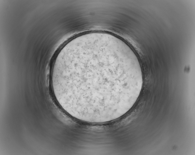 X0000094451126200711291653