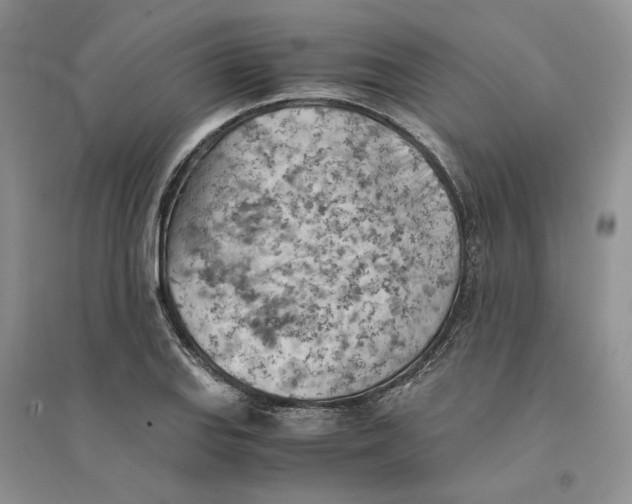 X0000094451127200711291653