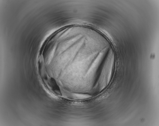 X0000094451128200711291653