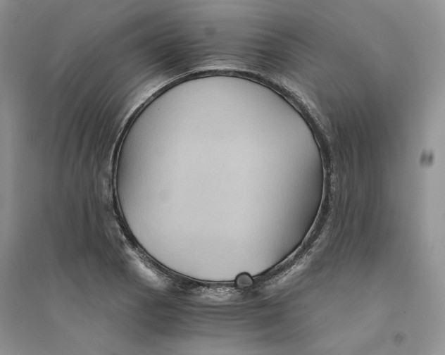 X0000094451129200711291653