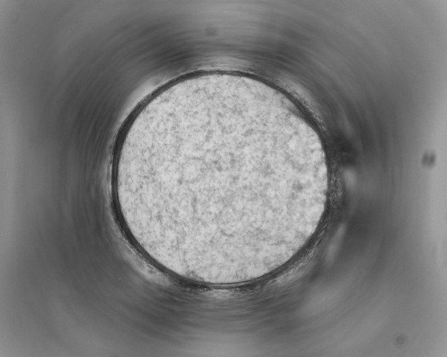 X0000094451130200711291653