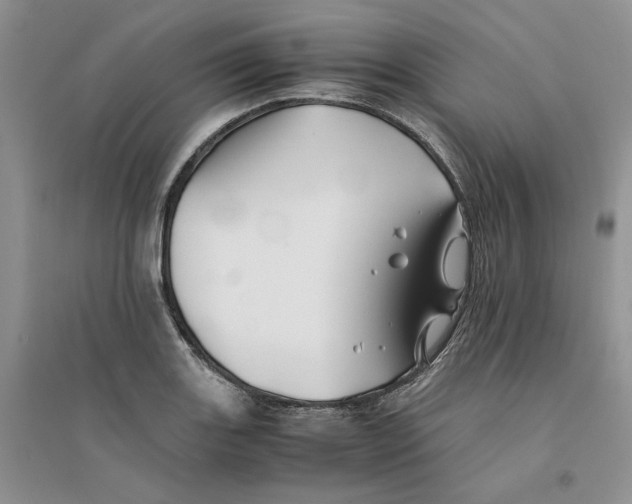 X0000094451131200711291653