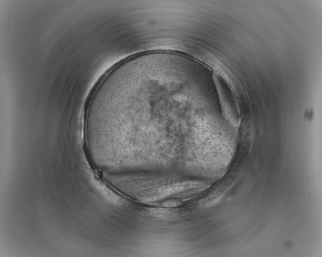 X0000094451132200711291653