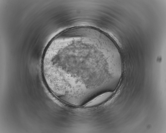 X0000094451134200711291653