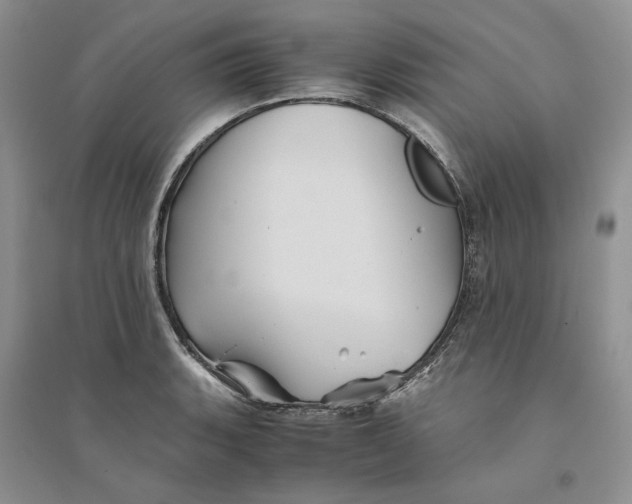 X0000094451135200711291653