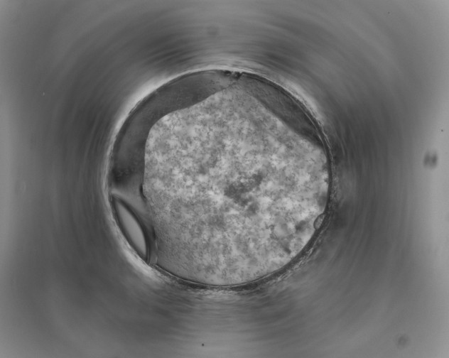 X0000094451136200711291653