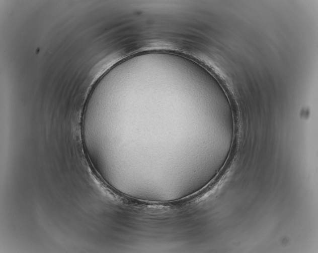 X0000094451137200711291653