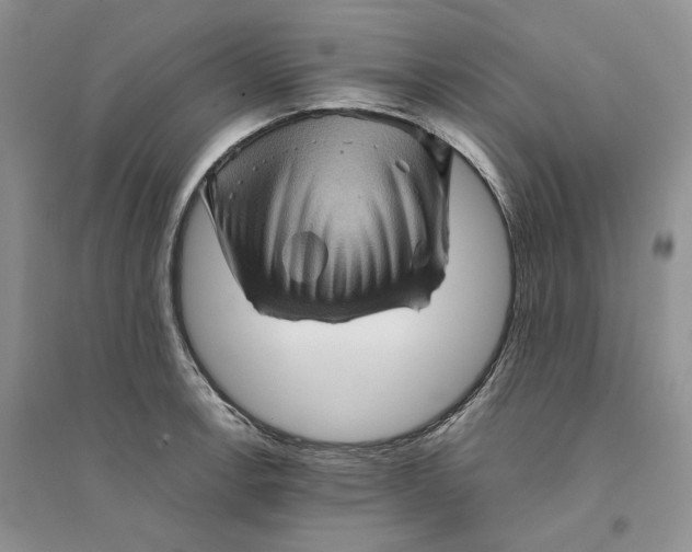 X0000094451138200711291653