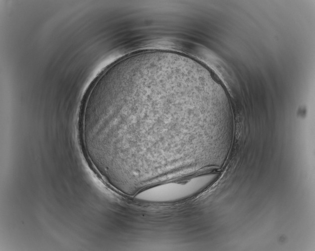 X0000094451139200711291653