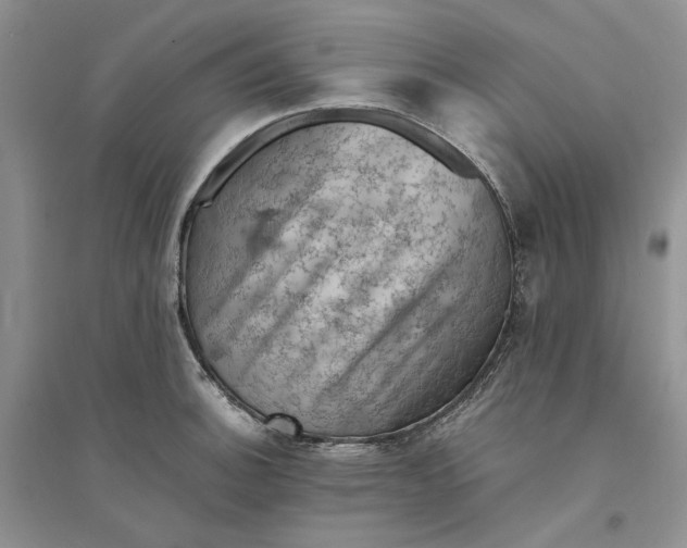 X0000094451140200711291653