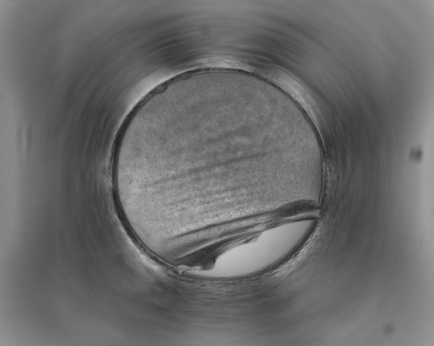 X0000094451141200711291653