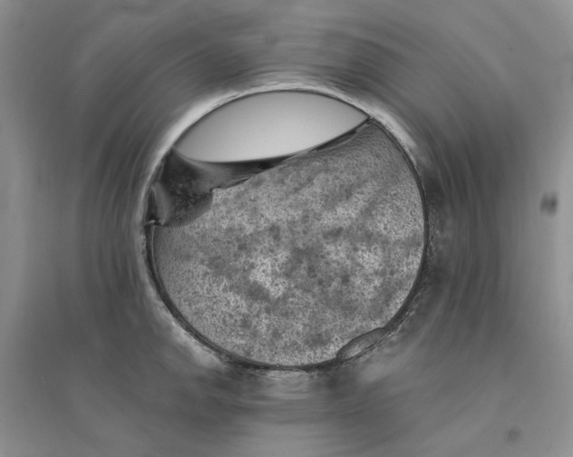 X0000094451142200711291653