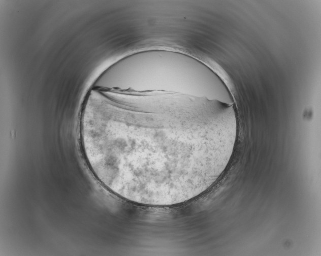 X0000094451144200711291653