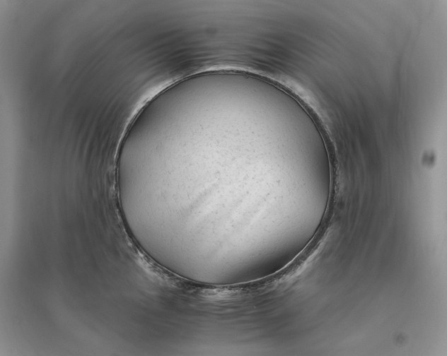 X0000094451145200711291653