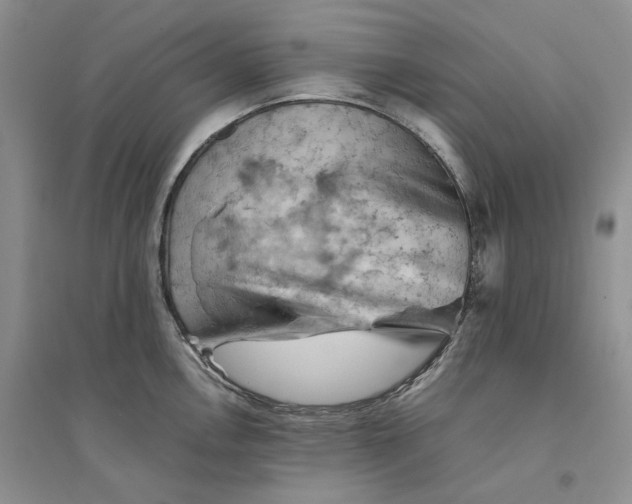 X0000094451146200711291653