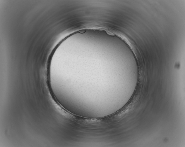 X0000094451147200711291653