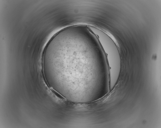 X0000094451148200711291653