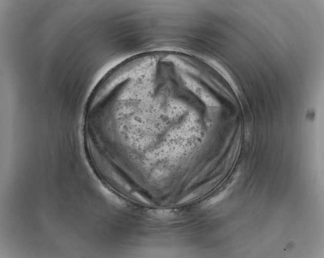 X0000094451149200711291653