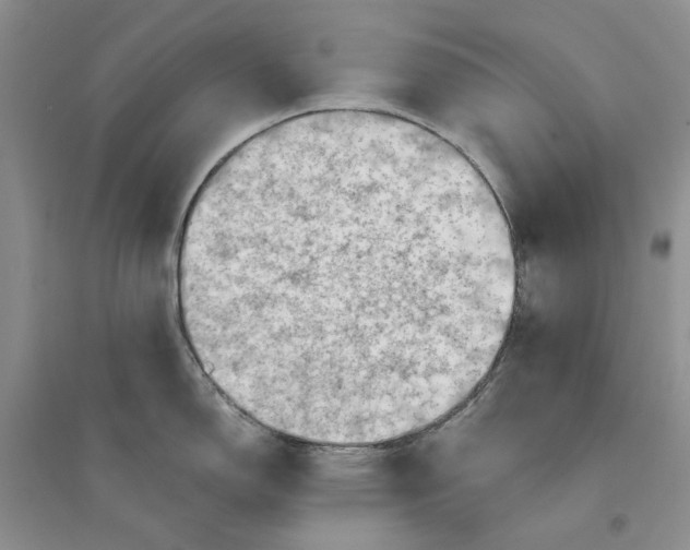 X0000094451150200711291653