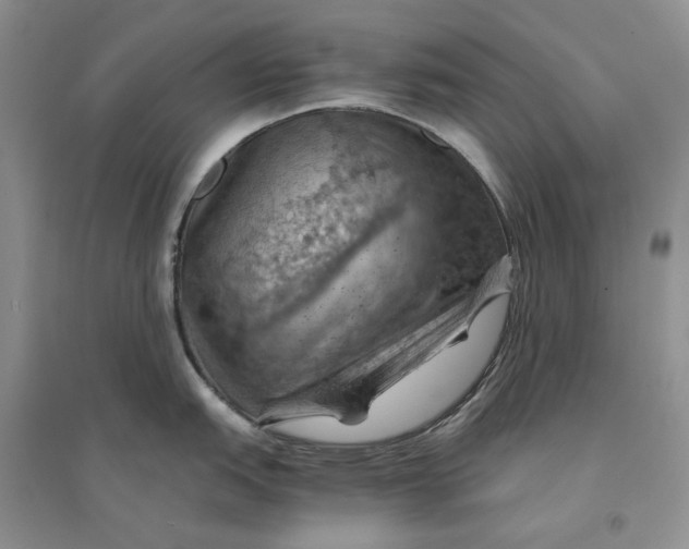 X0000094451151200711291653