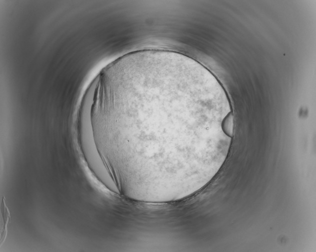 X0000094451152200711291653