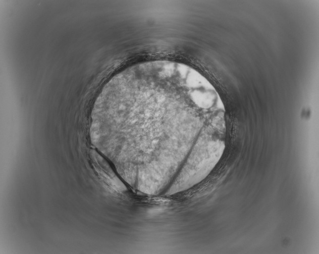 X0000094451153200711291652