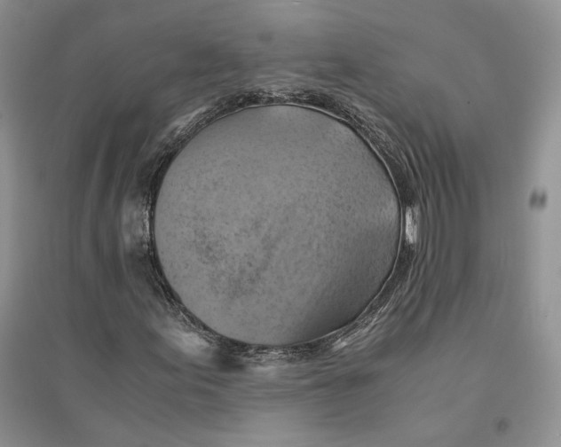 X0000094451155200711291652