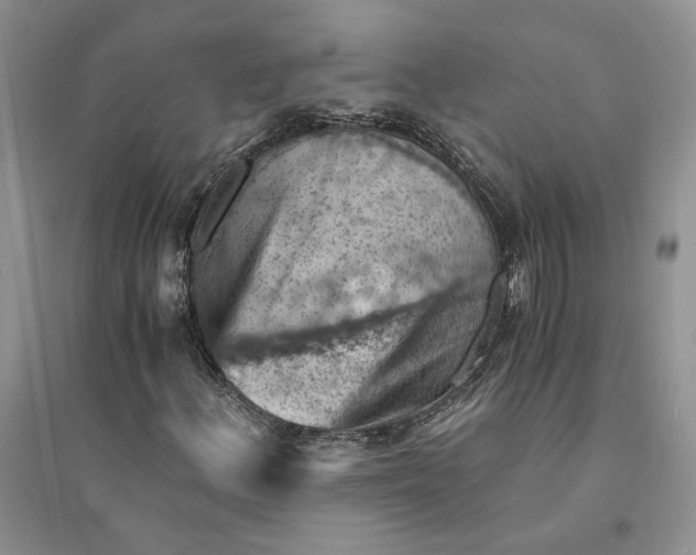 X0000094451156200711291652