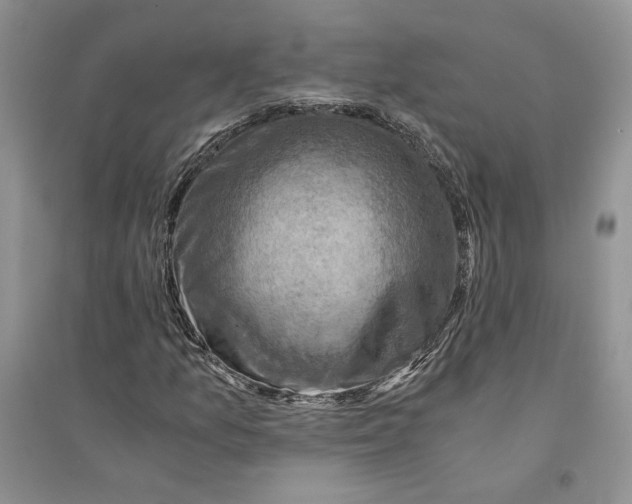 X0000094451157200711291652