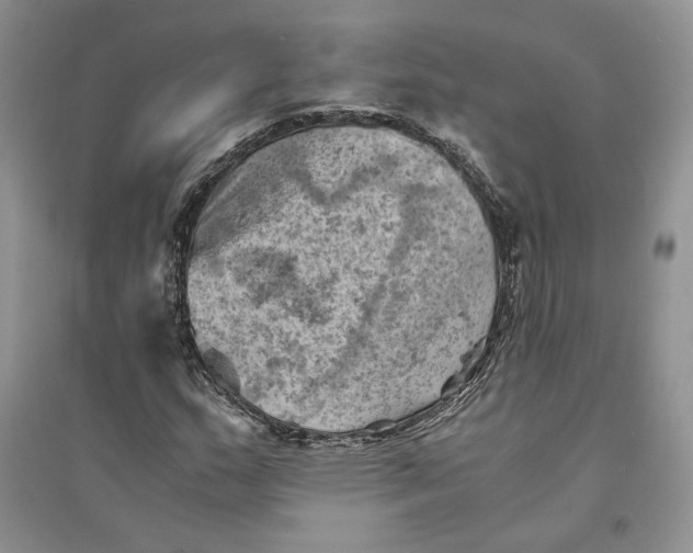 X0000094451159200711291652