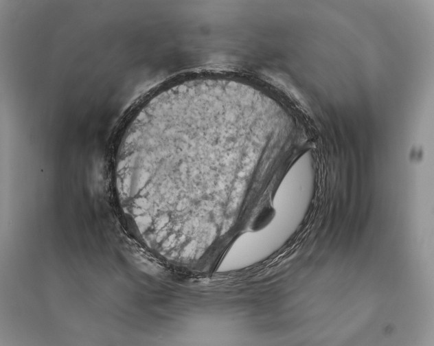 X0000094451160200711291652