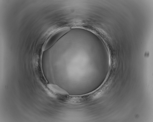 X0000094451161200711291652