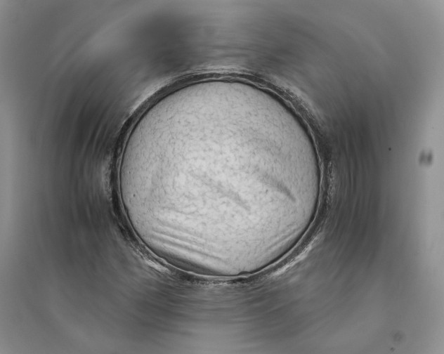 X0000094451162200711291652