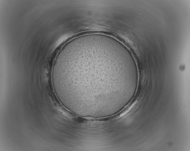 X0000094451163200711291652