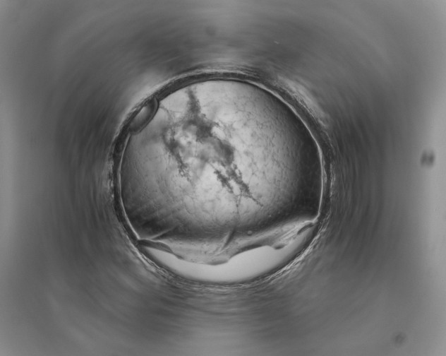 X0000094451164200711291652