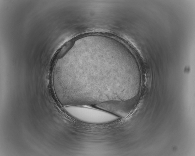 X0000094451165200711291652