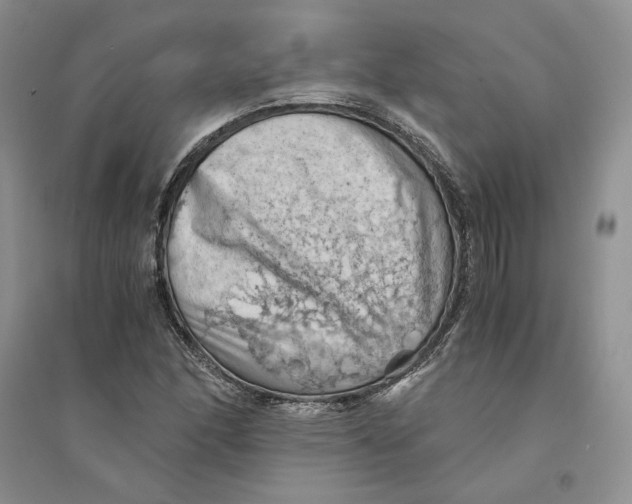 X0000094451166200711291652