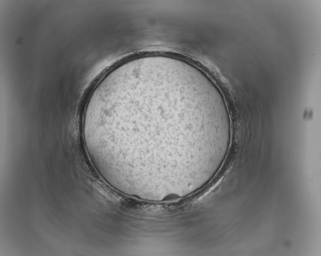 X0000094451167200711291652