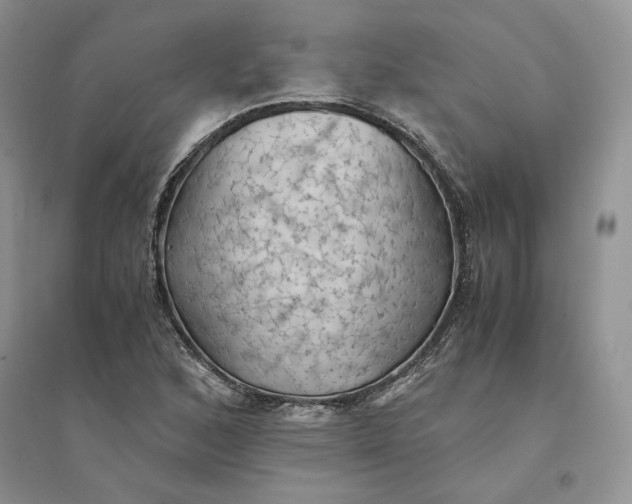 X0000094451168200711291652