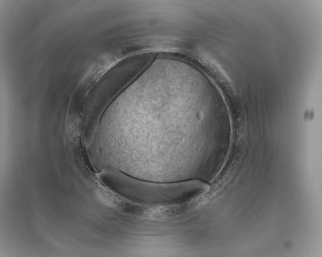 X0000094451169200711291652