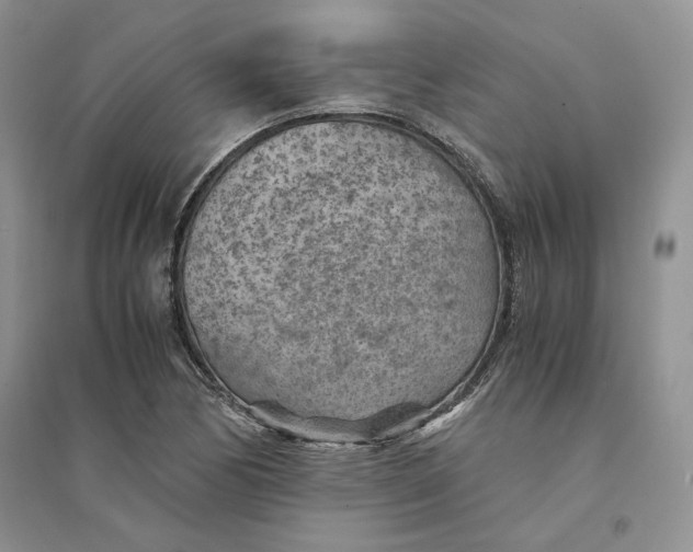 X0000094451170200711291652